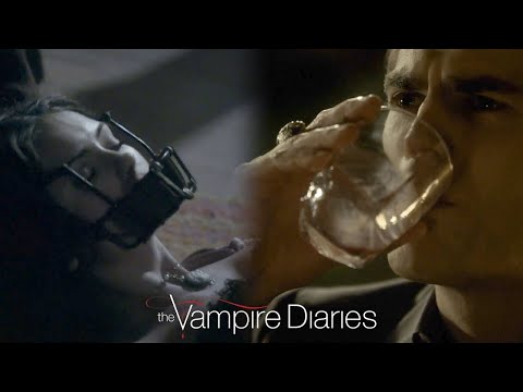 The Baddest Kills and Thrills: Part 2 | The Vampire Diaries