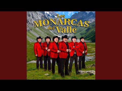 El Picel de la Belleza