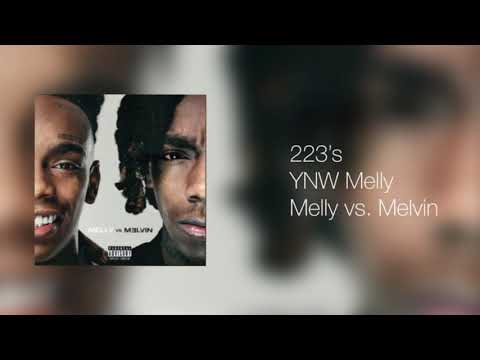 223’s (without 9lokknine) - YNW Melly