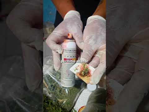 ALLANAMIENTOS EN LAMARQUE Y REGINA: SECUESTRARON DROGAS