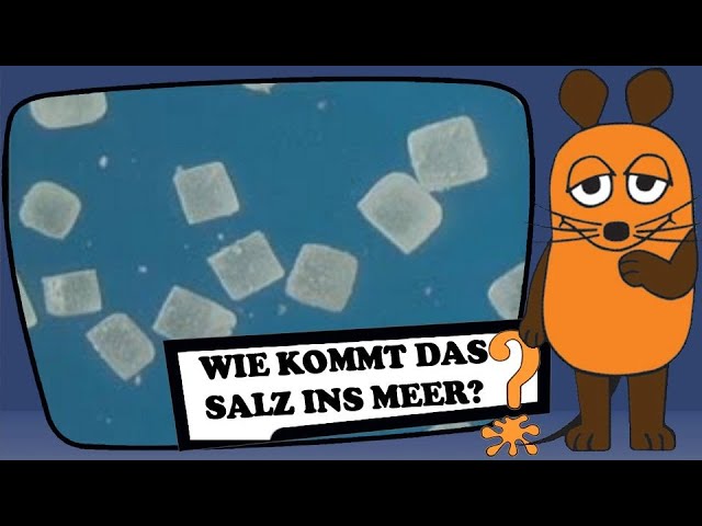 Vídeo relacionado con S9 - Strom-Spezial (Bibliothek der Sachgeschichten) [Alemania] [DVD]