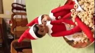 MY ELVES ON THE SHELF ARE INSIDE MY CEREAL BOWL