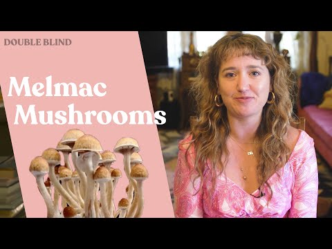 Melmac Mushrooms: What Are They? 🍄 | DoubleBlind