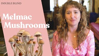 Melmac Mushrooms: What Are They 🍄 | DoubleBlind