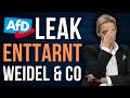Secret Plan Leaked AfD Reveals How To Defeat Them