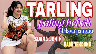 Download lagu TARLING PALING HEBOH DI KOTA PANTURA  mp3