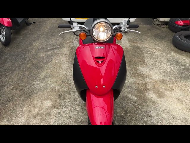 トゥデイ/ホンダ AF67型 2010年式 ワンオーナー 低走行車の販売情報 