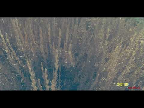 meizu pro 7 plus cinimatic 4K