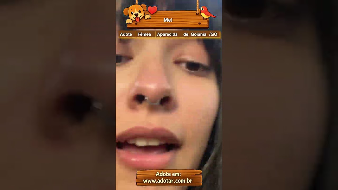 Cachorro raça SRD-ViraLata idade 2 anos nome Mel