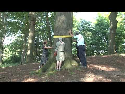 Cultura Nova 2021 - dag 10 - zondag 5 september 2021