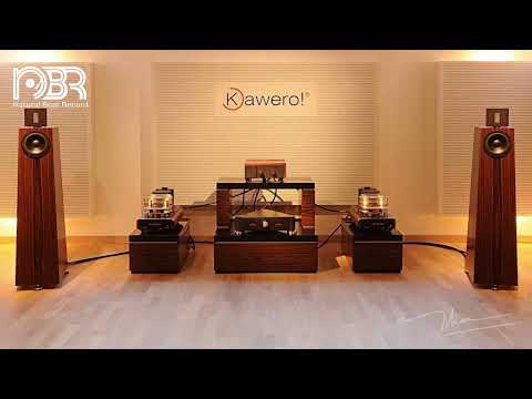 Audio Reference 2022 - HI RES Audiophile Collection - Natural Beat Records