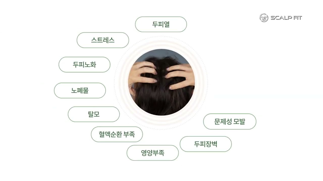 SCALPFIT 브랜드 소개
