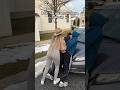 F Ck 12 Am I Right Funny Shorts Viral Skit Tremattic