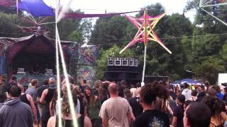 Psycrowdelica 2014 - BACK TO THE ROOTS - Megalopsy & Frantic Noise