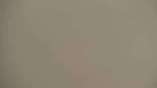 בית המדרש חזון יעקב • יום שיישי כג' חשוון תשפ'ו (בית הכנסת מוסאיוף) - התמונה מוצגת ישירות מתוך אתר האינטרנט יוטיוב. זכויות היוצרים בתמונה שייכות ליוצרה. קישור קרדיט למקור התוכן נמצא בתוך דף הסרטון בית המדרש חזון יעקב • יום שיישי כג' חשוון תשפ'ו (בית הכנסת מוסאיוף) - התמונה מוצגת ישירות מתוך אתר האינטרנט יוטיוב. זכויות היוצרים בתמונה שייכות ליוצרה. קישור קרדיט למקור התוכן נמצא בתוך דף הסרטון