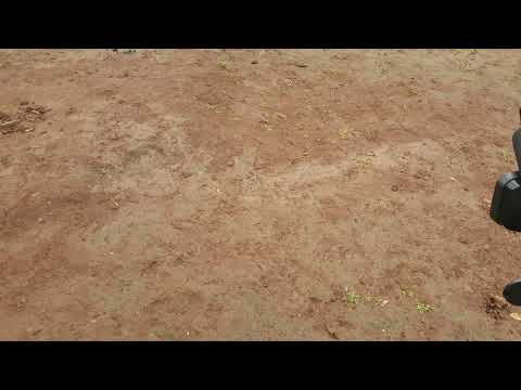 Nigihe Gito/47 Mundirimbo z'Agakiza/ Indirimbo Yo mugitabo nziza(Official Audio.