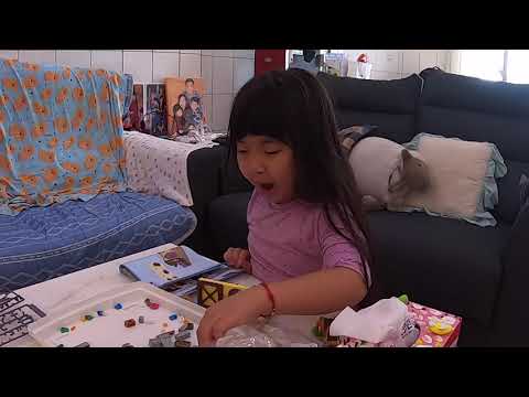 LEGO 43188 (Aurora's Forest Cottage)