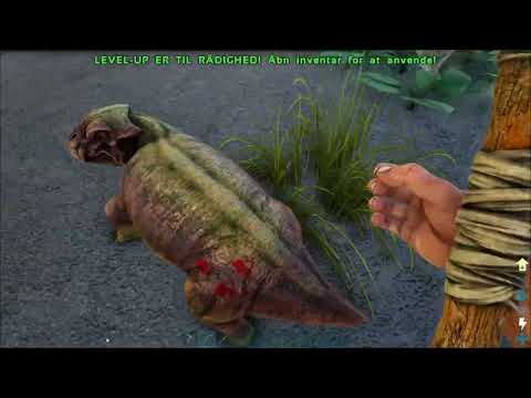 Jeg spiller Ark Survival evolved Primal Fear