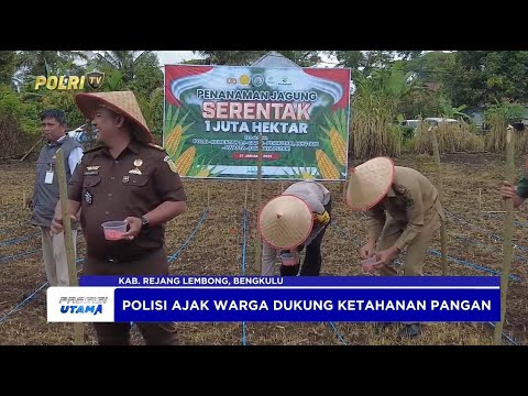 PENANAMAN 1 HEKTARE JAGUNG SERENTAK POLRES REJANG LEMBONG