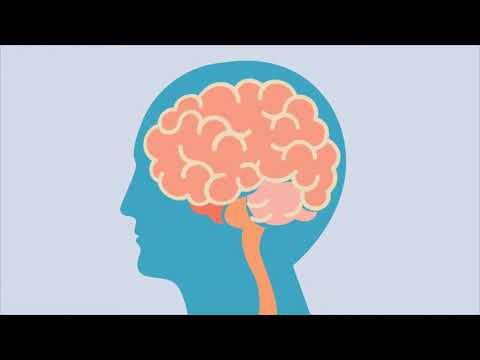 OnTarget 2D Explainer Video Animation  Portfolio 190