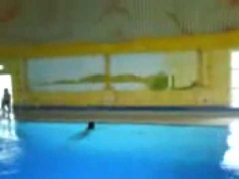 Schwimmbad Teil 2