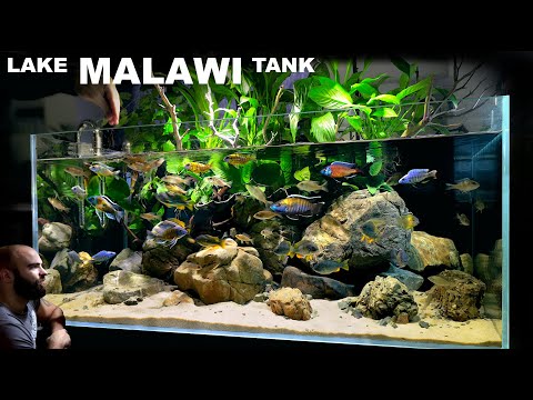 Lake Malawi Aquarium: EPIC Aquascape Tutorial w/ Cichlids & Catfish