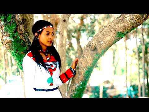 Gammachis Gurmeessa - Maa Sijarjaraa - New Ethiopian Oromo Music 2019 [Official Video]