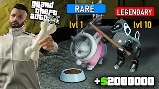 GTA 5 RP DE PET İLE PARA KAZANMAK! EN İYİ PETLER , İŞE GÖNDERMEK! DETAYLI PET RE