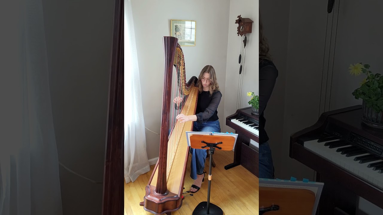Promotional video thumbnail 2 for Cherry Wood Music