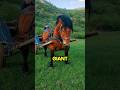 Is This The Biggest Horse Ever