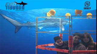 DIA 2 Expo Tiburon80