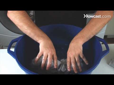 download lagu mp3 mp4 Can You Get Ketchup Out Of Clothes, download lagu Can You Get Ketchup Out Of Clothes gratis, unduh video klip Can You Get Ketchup Out Of Clothes