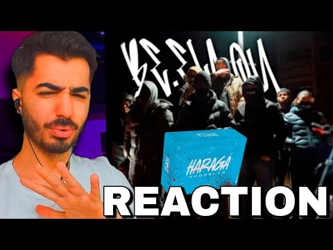 🤯 HOODBLAQ - HARAGÁ - ALBUMSNIPPET Reaction