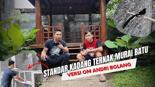 Download lagu STANDARDS FOR MURAI BATU BREEDING CAGES VERSION BY OM ANDRI BOLANG mp3
