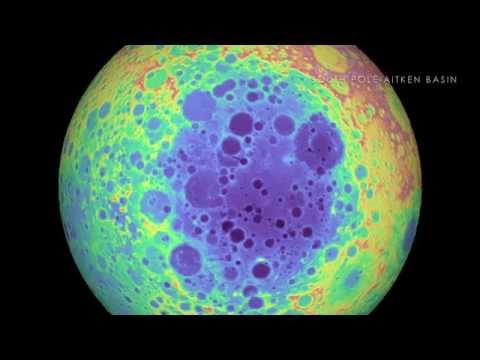 dubsayers - steamed dublings