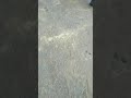 channel