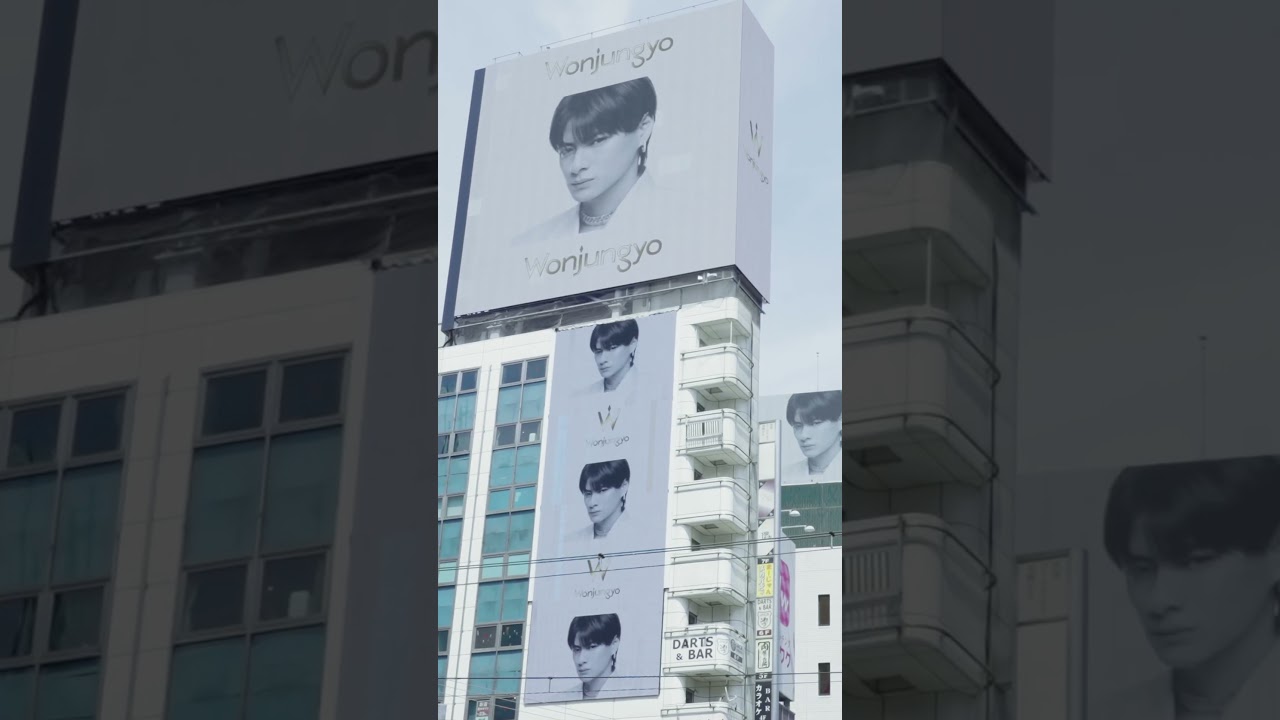 Wonjungyo Hair Straight type Street Advertising