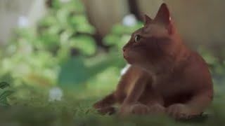 猫好きがStrayを初見プレイ！_Part1