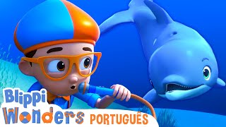 Blippi Comunica com um Golfinho! 🐬 Blippi em Português 🟠 Vídeos Educativos para Crianças