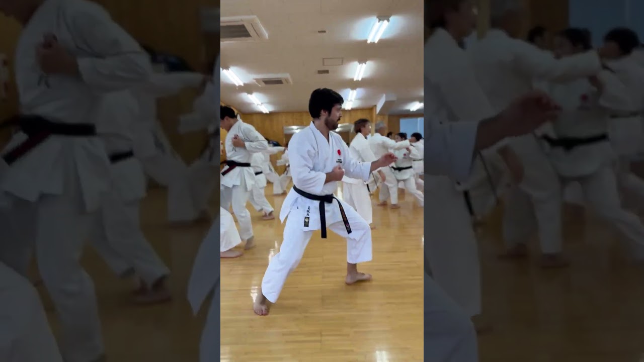 Karate training, Taishi-juku
