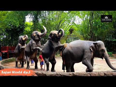 ELEPHANT SHOW | SAFARI WORLD BANGKOK 2022 | TOUR DIARIES