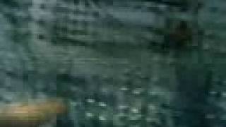 DEVILICIOUS : Blood Death Ivory Production Diary