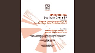 Barzilian Flavor (Original Mix)