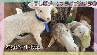 石狩ひつじ牧場