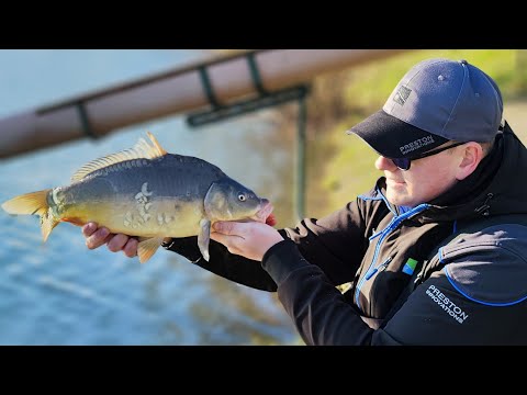 ZIMSKI FEEDER RIBOLOV NA METHOD- Zaprešić, Zajarki🎣🔵
