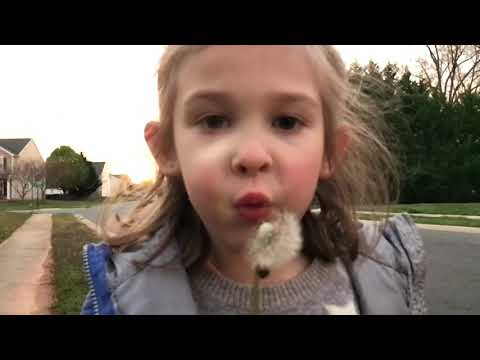 Rory Loves Dandelions