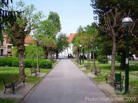 Dusica Vrga- Nema te krajino