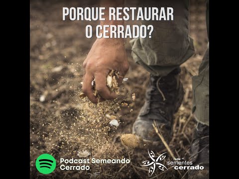 Por que restaurar o Cerrado? – importância e desafios (Podcast Semeando)