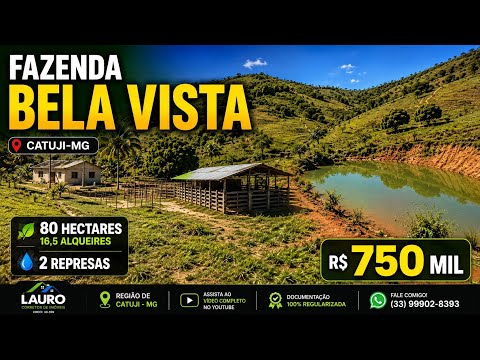 FAZENDA 80 HECTARES POR R$ 750 MIL | CATUJI-MG