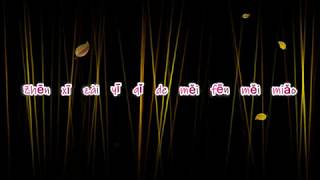 Download lagu Xiao Pan Pan and Xiao Feng Feng – Learn to Meow lyrics/malay lyrics/ lirik melayu mp3